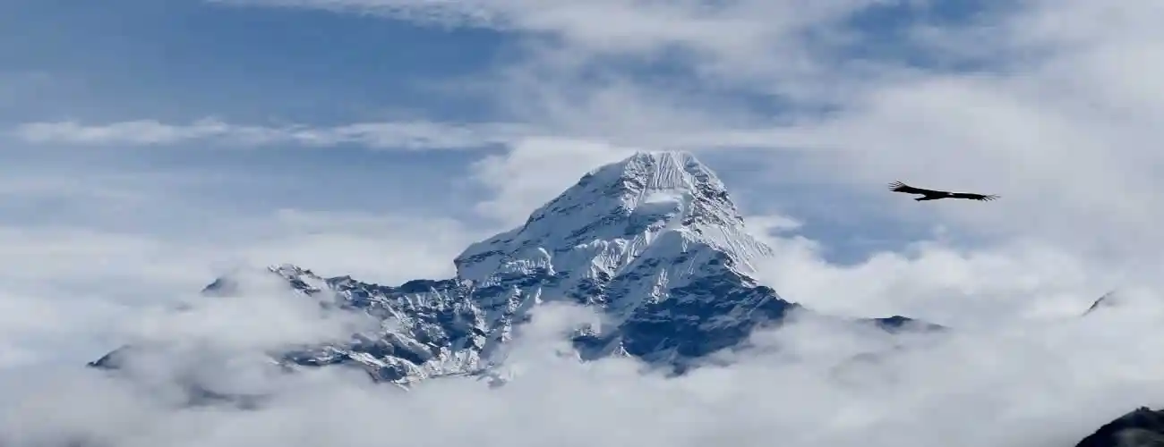 Himalaya: le polveri accentuano lo scioglimento dei ghiacci